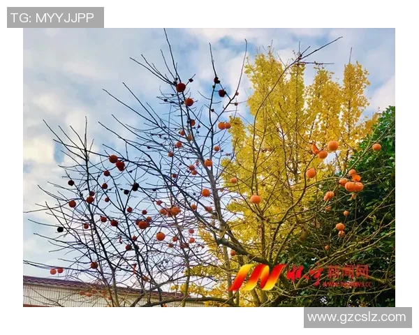 岗山绿与大宫松鼠的精彩对决谁将赢得这场绿意盎然的较量