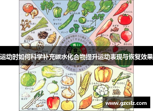 运动时如何科学补充碳水化合物提升运动表现与恢复效果